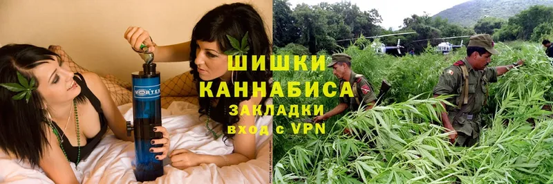 Марихуана Bruce Banner  Вилючинск 